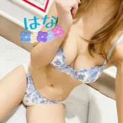 ヒメ日記 2025/12/06 07:03 投稿 はな トマトなび