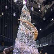 ヒメ日記 2025/12/07 00:10 投稿 はな トマトなび