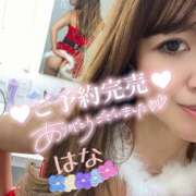 はな 満員御礼( *ﾉ_ _)ﾉﾉ トマトなび