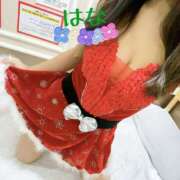 ヒメ日記 2025/12/28 23:38 投稿 はな トマトなび