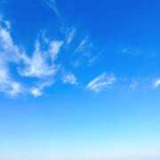 ヒメ日記 2025/12/30 15:01 投稿 はな トマトなび