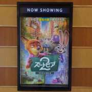 ヒメ日記 2025/12/31 11:22 投稿 はな トマトなび