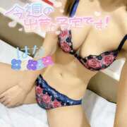 ヒメ日記 2026/01/04 23:56 投稿 はな トマトなび