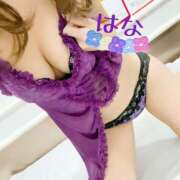 ヒメ日記 2026/01/16 23:59 投稿 はな トマトなび