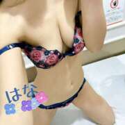 ヒメ日記 2026/01/19 12:24 投稿 はな トマトなび