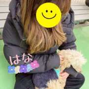 はな パラダイス⁽⁽٩(๑˃̶͈̀ ᗨ ˂̶͈́)۶⁾⁾ トマトなび