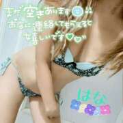 ヒメ日記 2026/01/23 12:21 投稿 はな トマトなび