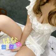 ヒメ日記 2026/01/26 00:07 投稿 はな トマトなび