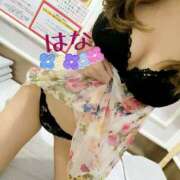 ヒメ日記 2026/01/28 22:59 投稿 はな トマトなび