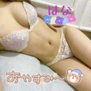 ヒメ日記 2026/01/29 00:31 投稿 はな トマトなび