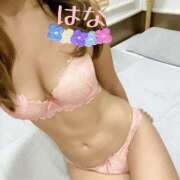 ヒメ日記 2026/02/03 23:59 投稿 はな トマトなび