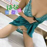 ヒメ日記 2026/02/04 17:00 投稿 はな トマトなび