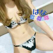 ヒメ日記 2026/02/08 07:43 投稿 はな トマトなび