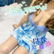 ヒメ日記 2026/02/09 22:28 投稿 はな トマトなび