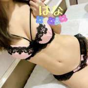 ヒメ日記 2026/02/12 17:04 投稿 はな トマトなび