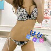 ヒメ日記 2026/02/17 08:15 投稿 はな トマトなび