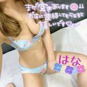 ヒメ日記 2026/02/18 18:05 投稿 はな トマトなび