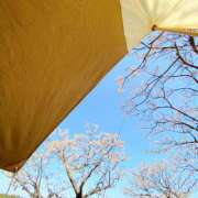 ヒメ日記 2026/02/21 22:11 投稿 はな トマトなび