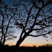 ヒメ日記 2026/02/22 06:27 投稿 はな トマトなび