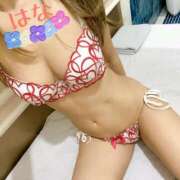 ヒメ日記 2026/02/22 23:29 投稿 はな トマトなび