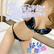 ヒメ日記 2026/02/24 00:39 投稿 はな トマトなび