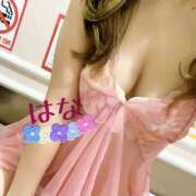 ヒメ日記 2026/03/10 23:45 投稿 はな トマトなび