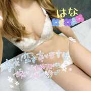 ヒメ日記 2026/03/14 16:13 投稿 はな トマトなび