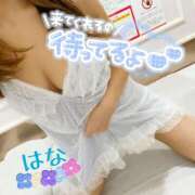 ヒメ日記 2026/03/15 23:58 投稿 はな トマトなび