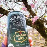 ヒメ日記 2026/03/20 13:10 投稿 はな トマトなび