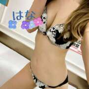 ヒメ日記 2026/03/24 10:48 投稿 はな トマトなび