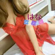 ヒメ日記 2026/03/29 11:23 投稿 はな トマトなび