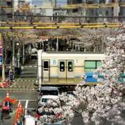 ヒメ日記 2026/03/29 23:23 投稿 はな トマトなび