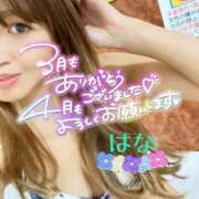 ヒメ日記 2026/03/31 23:57 投稿 はな トマトなび