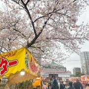 ヒメ日記 2026/04/01 23:10 投稿 はな トマトなび