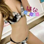 ヒメ日記 2026/04/28 16:52 投稿 はな トマトなび