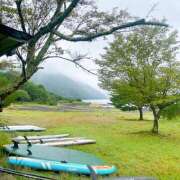 ヒメ日記 2026/09/13 07:44 投稿 はな トマトなび