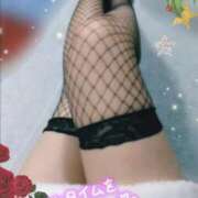 ヒメ日記 2024/12/19 15:08 投稿 みいな トマトなび