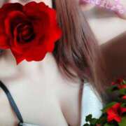 ヒメ日記 2024/12/26 13:23 投稿 みいな トマトなび