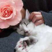 ヒメ日記 2025/01/21 21:54 投稿 みいな トマトなび