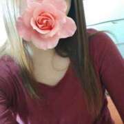 ヒメ日記 2025/02/20 15:16 投稿 みいな トマトなび