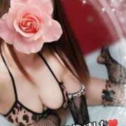 ヒメ日記 2025/02/24 18:19 投稿 みいな トマトなび