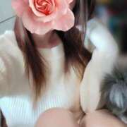 ヒメ日記 2025/03/01 06:43 投稿 みいな トマトなび