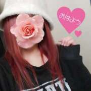 ヒメ日記 2025/03/09 06:47 投稿 みいな トマトなび