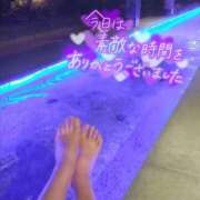 ヒメ日記 2025/03/11 19:47 投稿 みいな トマトなび