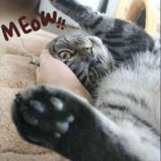 ヒメ日記 2025/03/14 15:05 投稿 みいな トマトなび