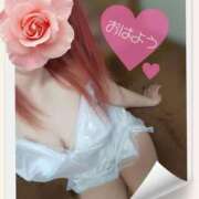 ヒメ日記 2025/04/13 06:46 投稿 みいな トマトなび