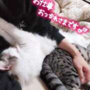 ヒメ日記 2025/04/15 22:13 投稿 みいな トマトなび