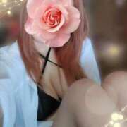 ヒメ日記 2025/04/17 15:24 投稿 みいな トマトなび