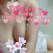 ヒメ日記 2025/04/19 17:28 投稿 みいな トマトなび