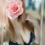 ヒメ日記 2025/04/20 08:33 投稿 みいな トマトなび